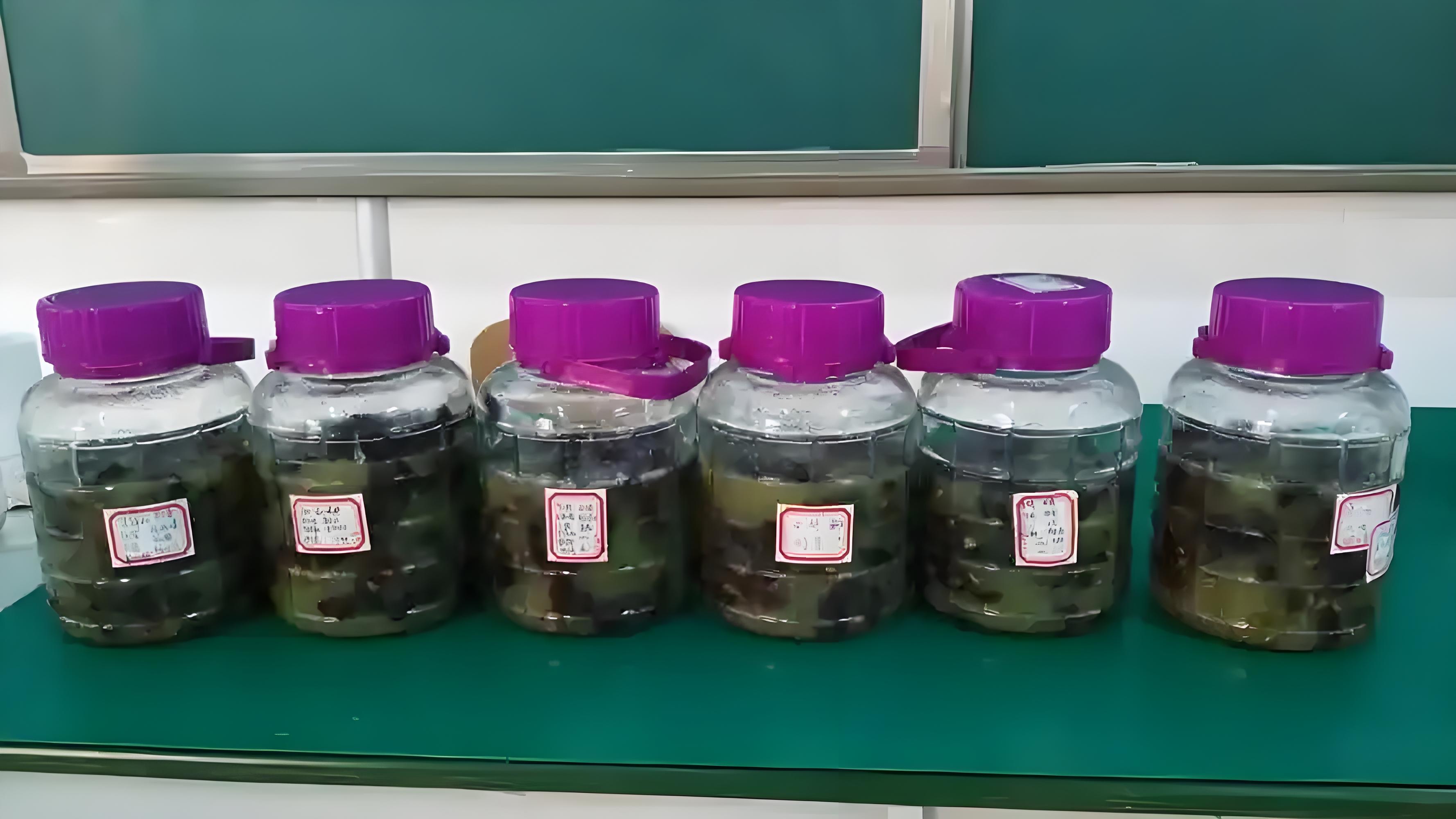 葡萄酒的制作方法视频