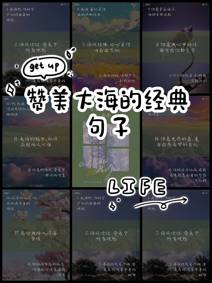 赞美大海的优美短句子